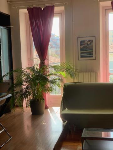 Vela 47 Appartement